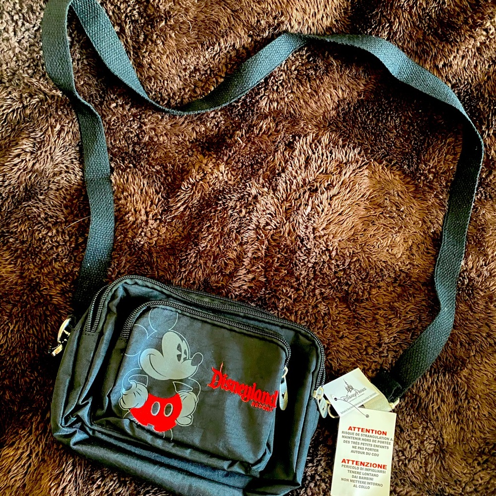 Disney crossbody purse